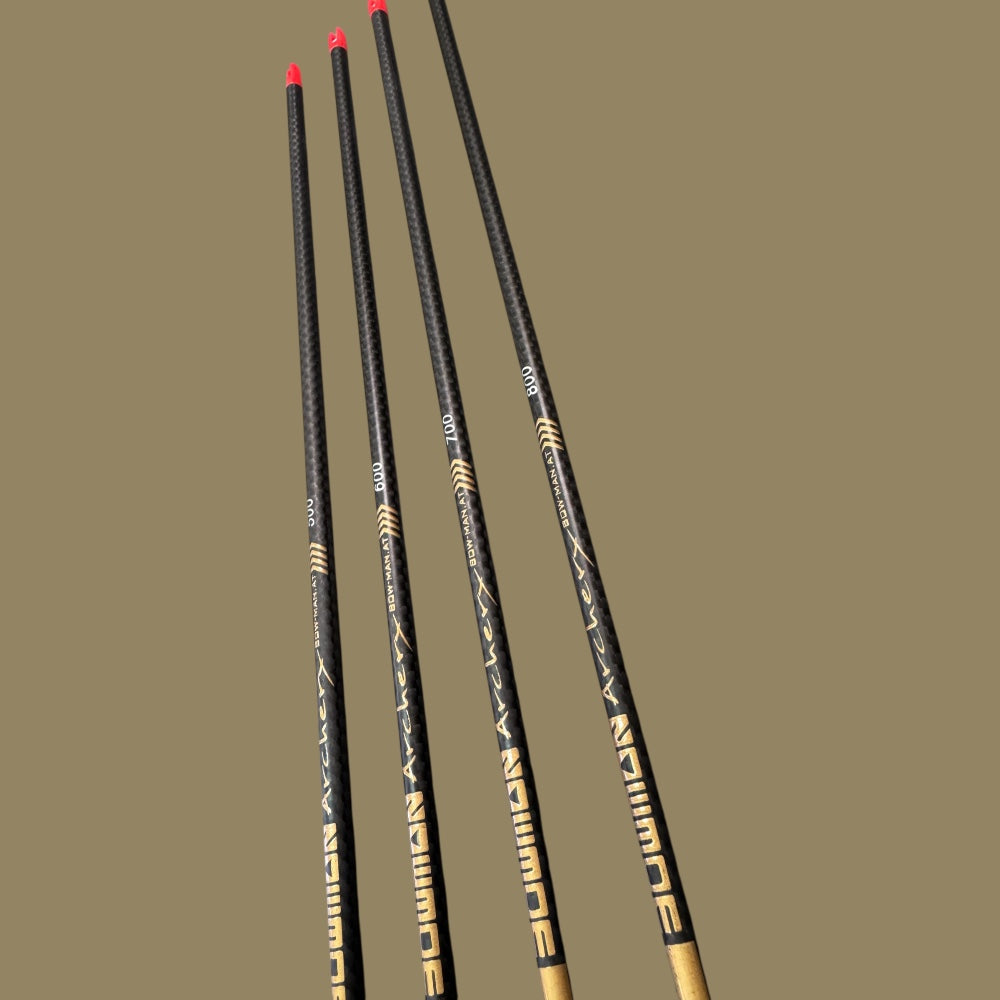 Bowman Bogensport